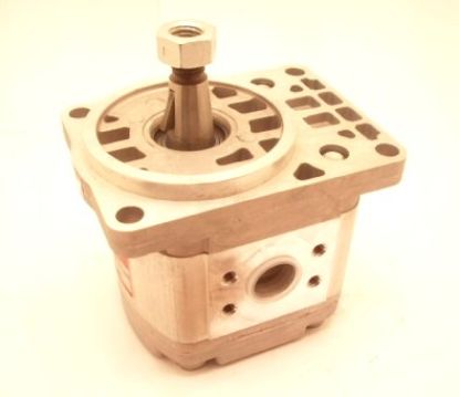 Picture of P1DBN2006HL10C02N HPI PUMP