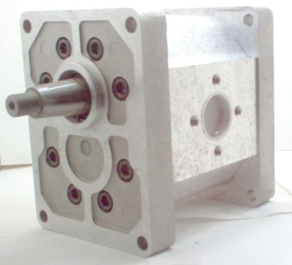 Picture of TAP 60-200 A148L C041 PUMP