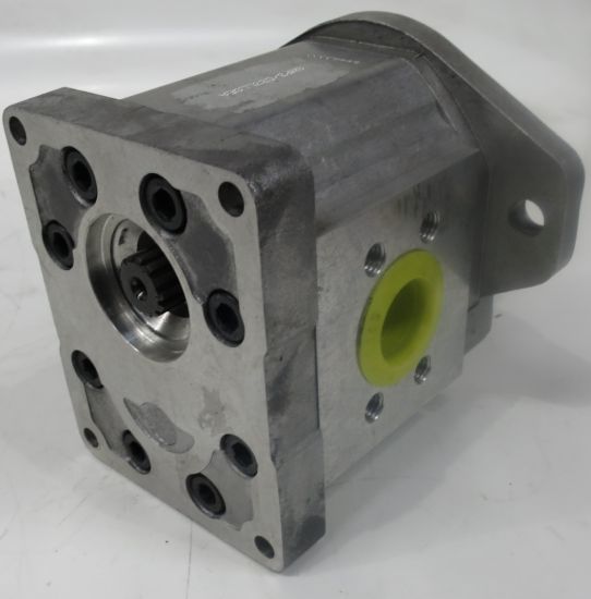 Picture of SNP3 C33L