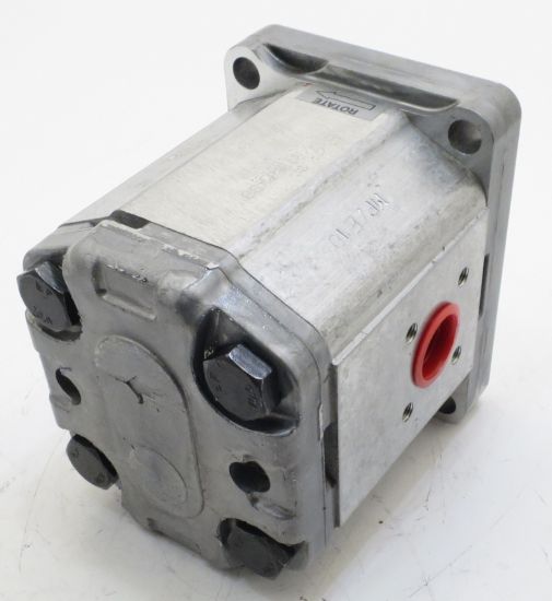 Picture of SNP2 C19L PXBB