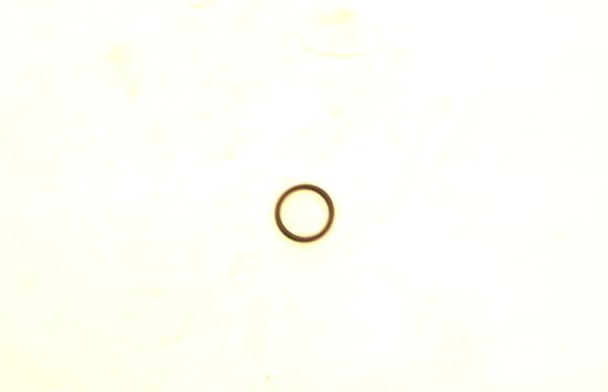 Image de JOINT'O'RING 12.1 1.6 NI70