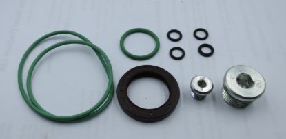 Picture of MA10V045 VITON SEAL KIT
