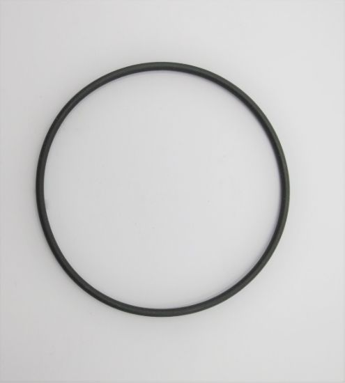 Imagen de PGP505 VITON SELLO DE SECCIÓN