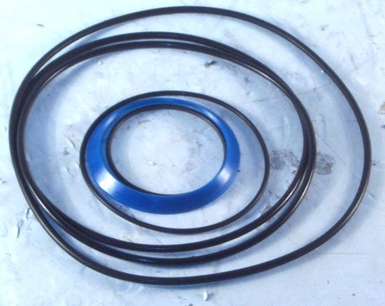 Picture of DANFOSS OMVS SERIES 1 SEAL KIT