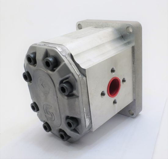 Picture of SNP3 C55L CO06