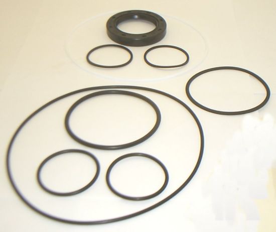Picture of 45M MOTOR BUNA SEAL KIT