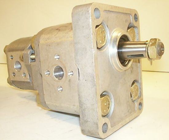 Picture of CTDSFAN SALAMI TANDEM PUMP