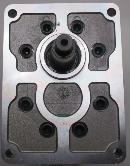 Picture of TAP 60-200 C200L C031 LAD PUMP