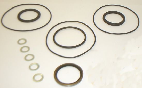 Picture of SEAL KIT FOR WCM SERIES MOTOR