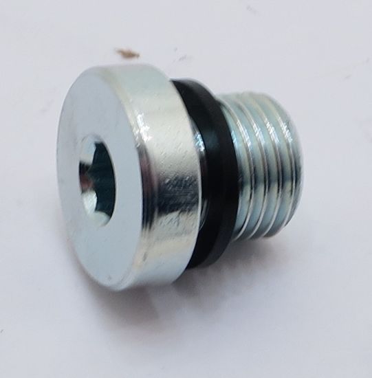Picture of 1/4 BSP SOCKET HEAD BLANKING PLUG