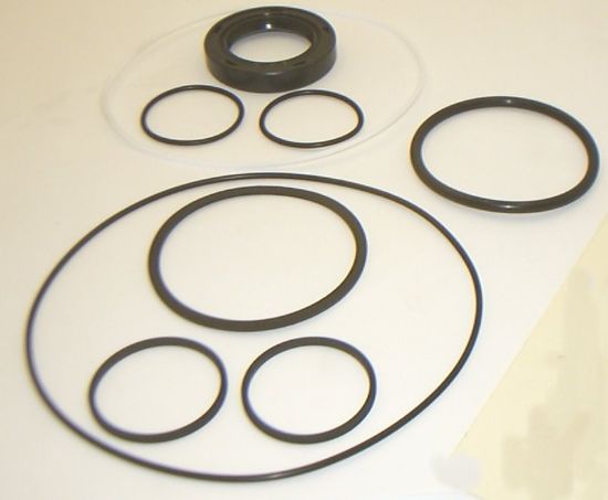 Picture of 25M/26M MOTOR BUNA SEAL KIT