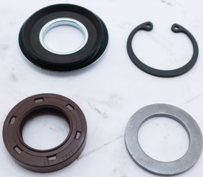 Picture of SNM2Y SHAFT SEAL KIT  221.20.046.0K