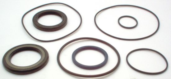 Picture of SEAL KIT  MPS MOTORS (EPMS) 8 Pcs