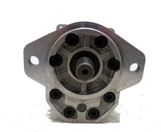 Picture of SNP3 A44L