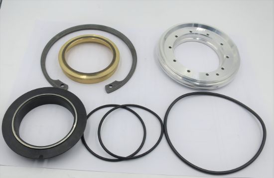 Picture of SPV2 / SMF2 227cc SHAFT SEAL KIT