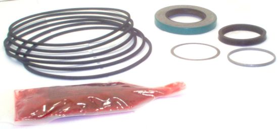 Picture of TRW TJ MOTOR SEAL KIT