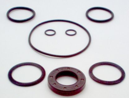Picture of DOWTY GRP2 SEAL KIT