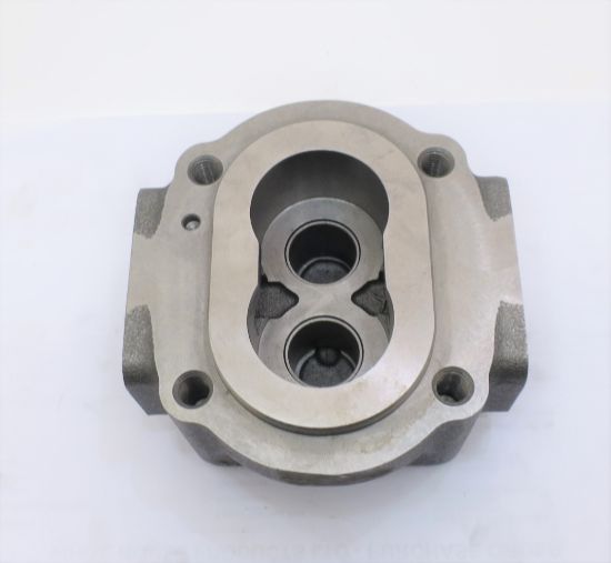 Imagen de PGP62019CC BOMBA SENCILLA CUERPO