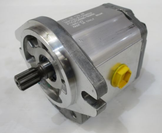 Picture of SNP2 / 17 D SC06 - 111.20.134.00