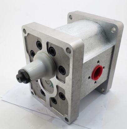 Picture of TAP 60-200 A106L C041 PUMP