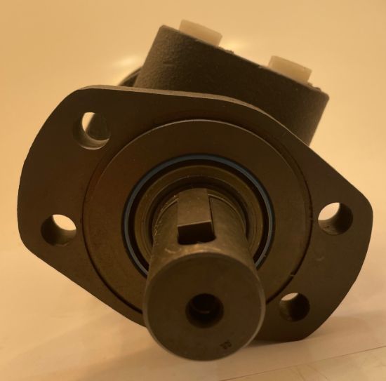 Picture of WHITE 300CC MOTOR 32MM PAR SHAFT