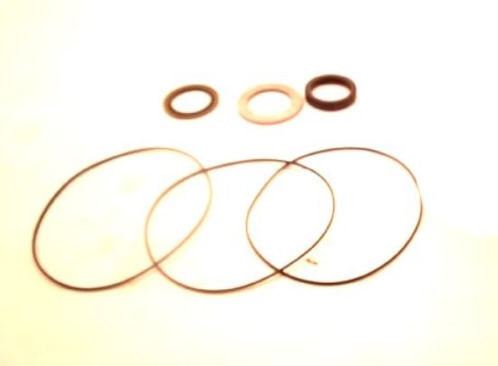 Picture of WHITE WR 255 SERIES MOTOR SEAL KIT