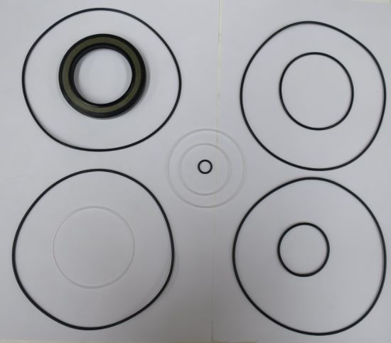 Picture of SEAL KIT FOR DANFOSS TMT TMTU