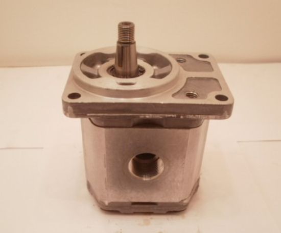 Picture of SNP2 C17L KBTB