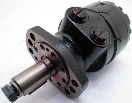 Picture of 300 CC/REV MOTOR - 1.1/4''