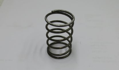 Picture of SPRING - NO DETAILS...