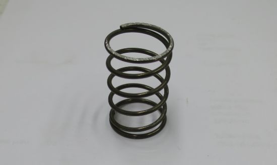 Picture of SPRING - NO DETAILS...