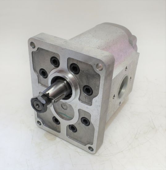 Picture of TAP 60-200 A148L C031 LAD PUMP