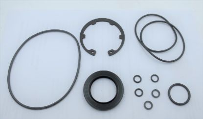 Picture of MA10V060 NITRILE SEAL KIT