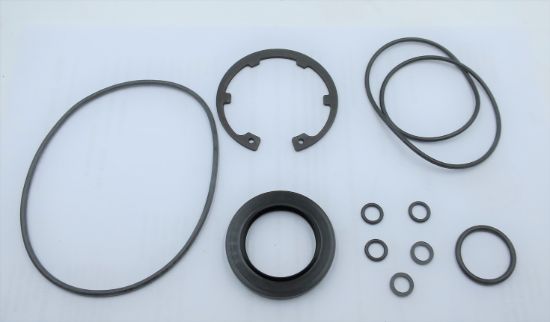 Picture of MA10V060 NITRILE SEAL KIT