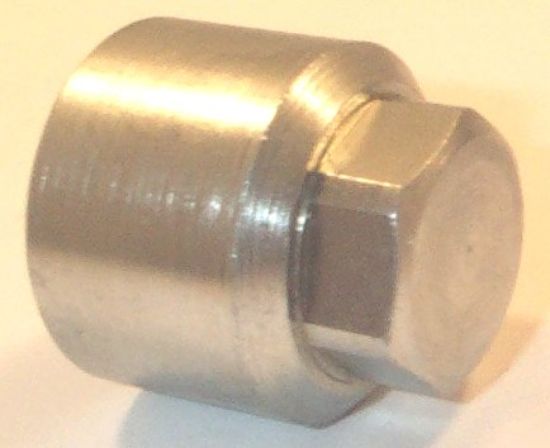 Picture of DOWTY DUST CAP