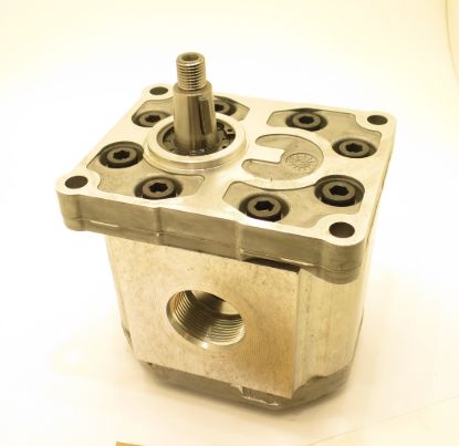 Picture of SNP3 C38L C041