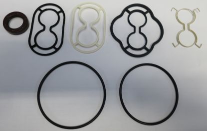 Picture of SNM2YN SEAL KIT NORMALLY ON BOBCAT