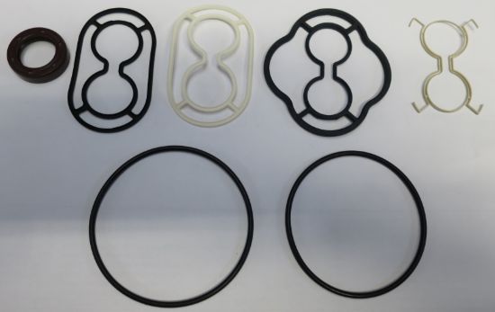 Picture of SNM2YN SEAL KIT NORMALLY ON BOBCAT