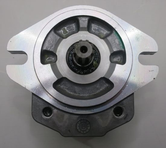 Picture of SNP2 C6.0L SC06.C