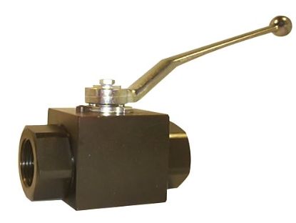 Picture of 1''  BSP 2 PORT BALL VALVE