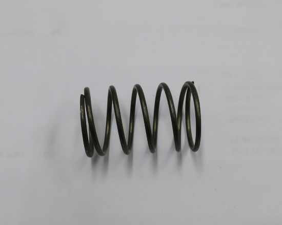 Picture of SPRING - NO DETAILS...