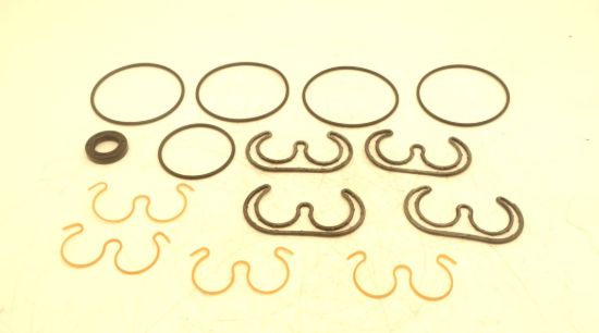 Picture of SNP2 STANDARD TANDEM PUMP SEAL KIT