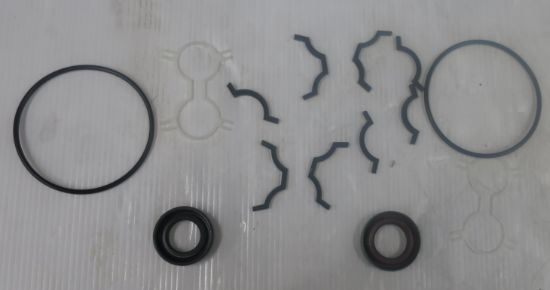 Picture of PGM511 / MAP11 NITRILE SEAL KIT