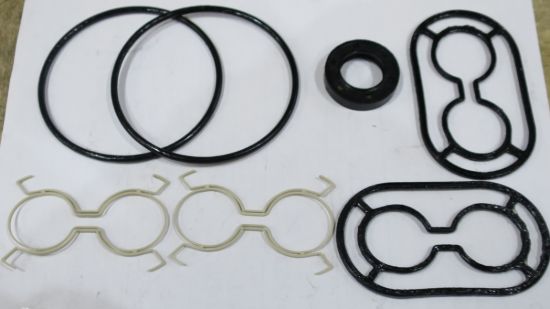 Picture of SEAL KIT TFP100/SC01-31