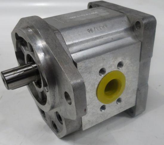 Picture of SNP3 C33L