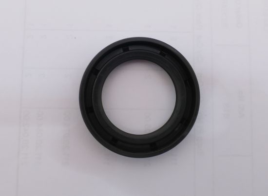 Picture of 25/2520V/VQ BUNA SHAFT SEAL 394976N