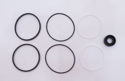 Picture of TFP 100 TAPER SHAFT VITON SEAL KIT