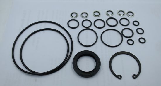 Picture of MA10V045 NITRILE SEAL KIT 31 DESIGN
