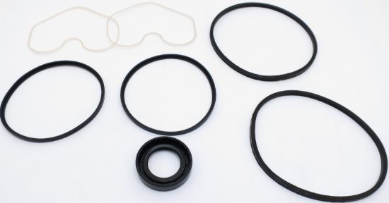 Picture of SP4/175 SEAL KIT