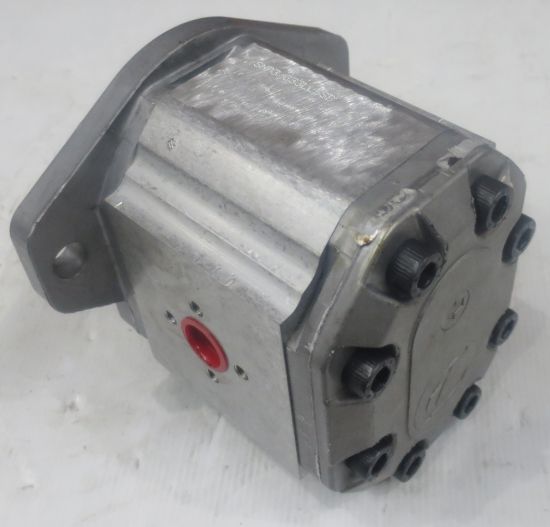 Picture of SNP3 C33L